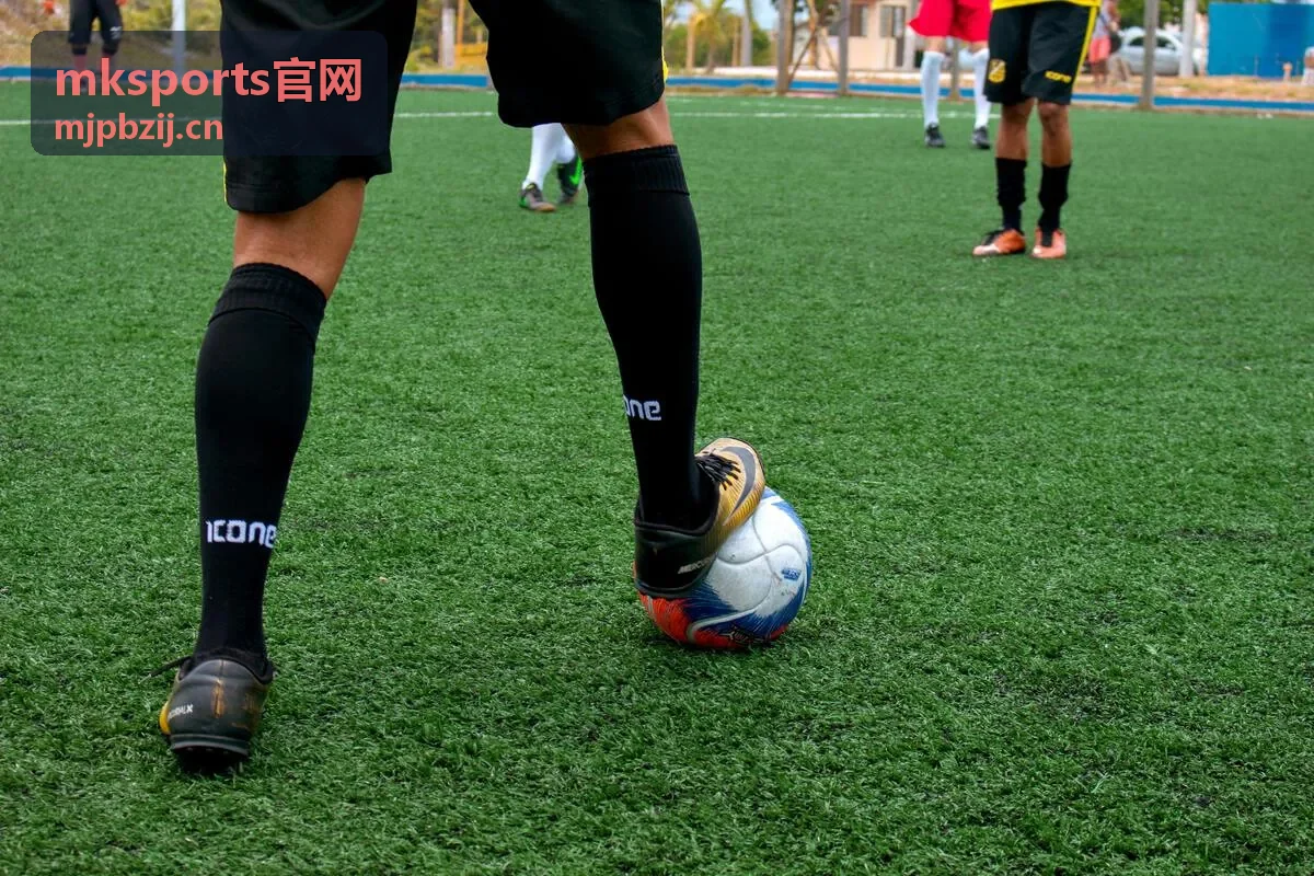 mksports官网会员套餐权益对比
